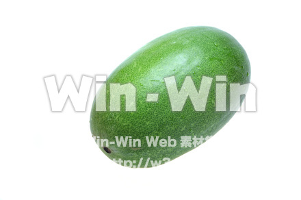 冬瓜の写真素材 W-015252