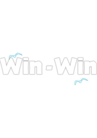 かもめのCG・イラスト素材 W-014513