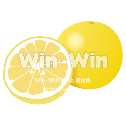 グレープフルーツのCG・イラスト素材 W-015817