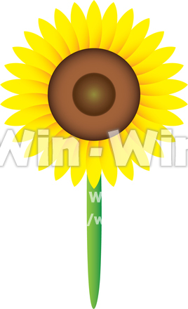 ひまわりのCG・イラスト素材 W-014528