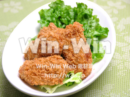 牡蠣フライの写真素材 W-015861