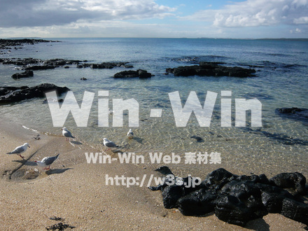 海岸の写真素材 W-015505