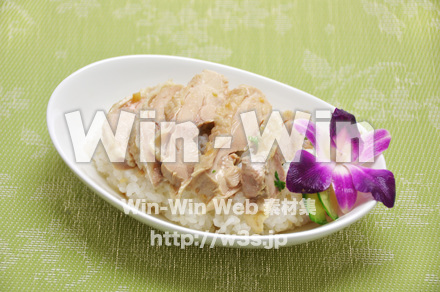 海南鶏飯の写真素材 W-015276