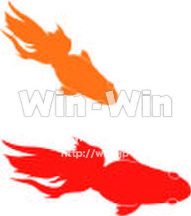マイうちわ金魚のCG・イラスト素材 W-014569