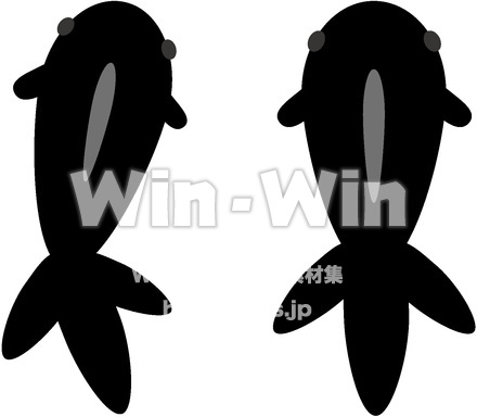 金魚（黒）のCG・イラスト素材 W-014558