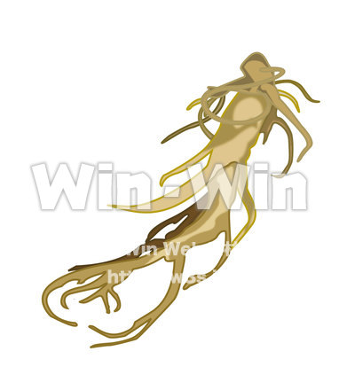 高麗人参のCG・イラスト素材 W-014869