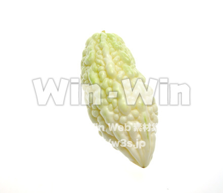 白ゴーヤの写真素材 W-015351