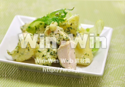 ジェノバ風サラダの写真素材 W-015360