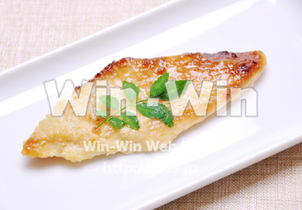 鮭の西京焼の写真素材 W-015763