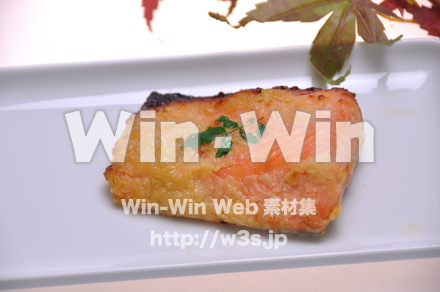 キングサーモンの西京焼の写真素材 W-015592