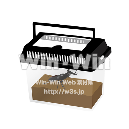 昆虫観察のCG・イラスト素材 W-015642