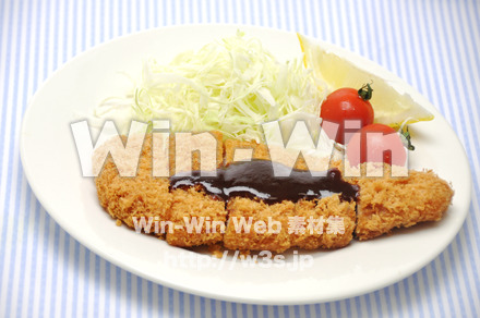 ロースカツの写真素材 W-014969