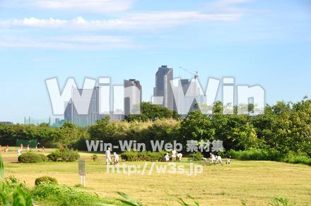 多摩川から見た中原区の写真素材 W-014857