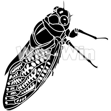 アブラゼミのシルエット素材 W-015834