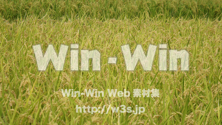 田んぼの写真素材 W-015383