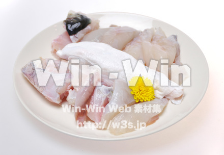 てっちりの写真素材 W-015859