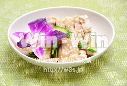 海南鶏飯の写真素材 W-015274