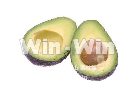 アボガドの写真素材 W-015808