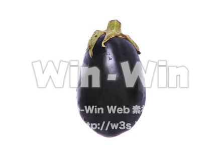 米なすの写真素材 W-015267