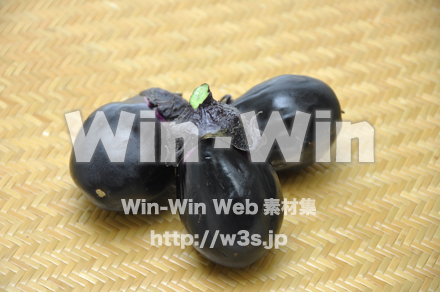 なすの写真素材 W-014837