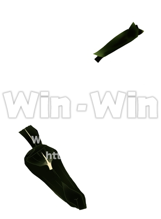 笹舟のCG・イラスト素材 W-014350