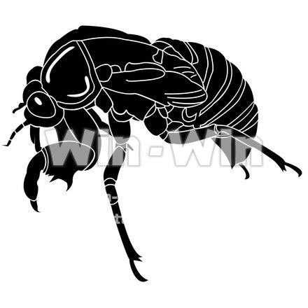 せみの脱殻のシルエット素材 W-015832