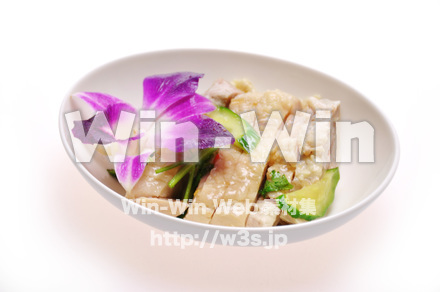 海南鶏飯はの写真素材 W-015273