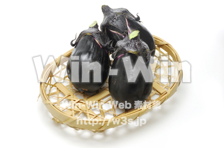 なすの写真素材 W-014840