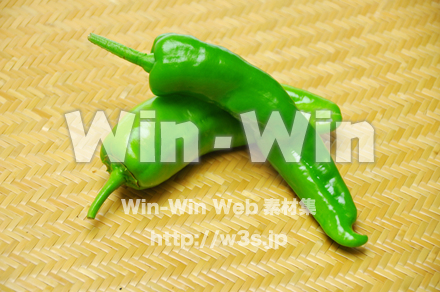 とうがらしの写真素材 W-014836