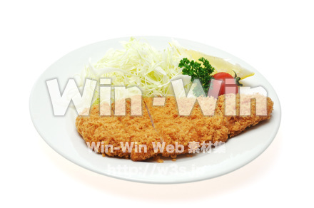 ロースカツの写真素材 W-014946