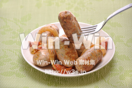 チョリソーの写真素材 W-015125