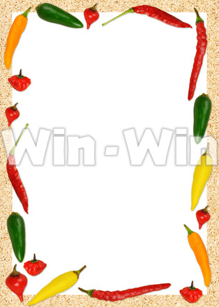 唐辛子のフレームの写真素材 W-014949