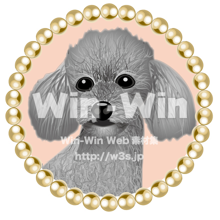 トイプードルのCG・イラスト素材 W-015200