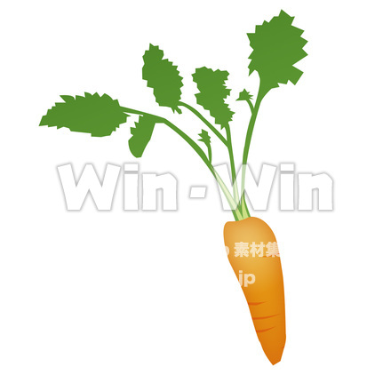 にんじんのCG・イラスト素材 W-014649