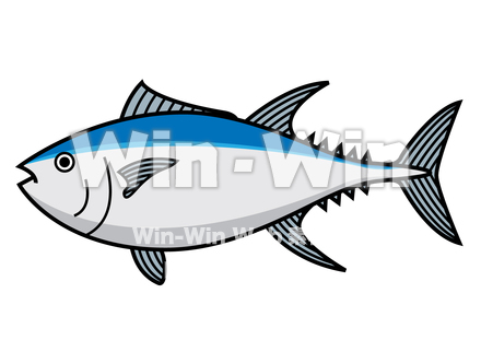 まぐろのCG・イラスト素材 W-015645