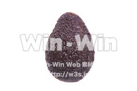 アボガドの写真素材 W-015787