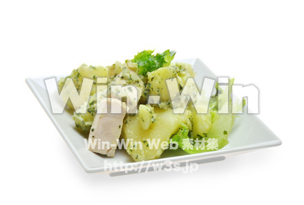 ジェノバ風サラダの写真素材 W-015359