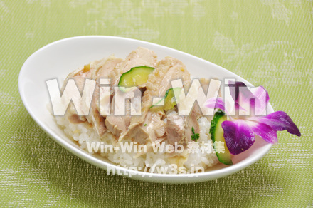 海南鶏飯の写真素材 W-015275