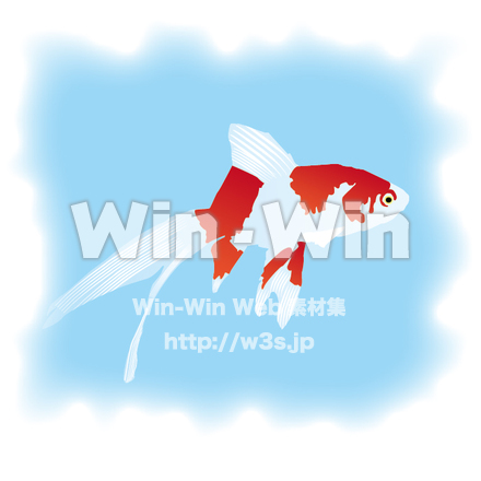 金魚のCG・イラスト素材 W-015638