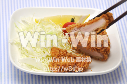 ヒレカツの写真素材 W-014887