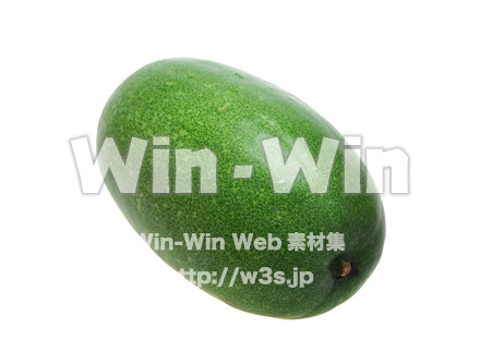冬瓜の写真素材 W-015253