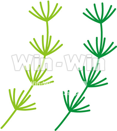 水草のCG・イラスト素材 W-014561