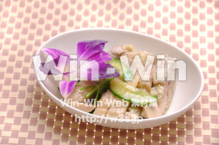 海南鶏飯の写真素材 W-015272