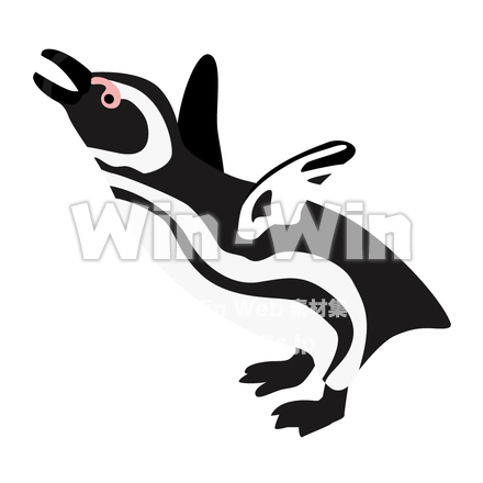 マゼランペンギンのCG・イラスト素材 W-014538