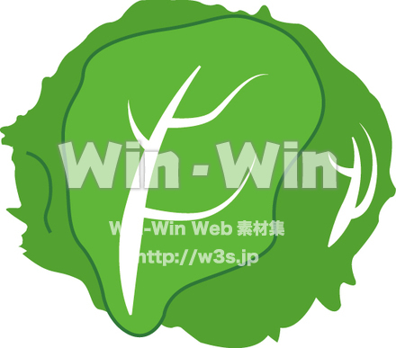 レタス１個のCG・イラスト素材 W-015471
