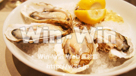 牡蠣　かき　生牡蠣の写真素材 W-015317