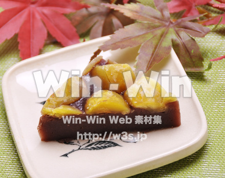 栗むしの写真素材 W-015775