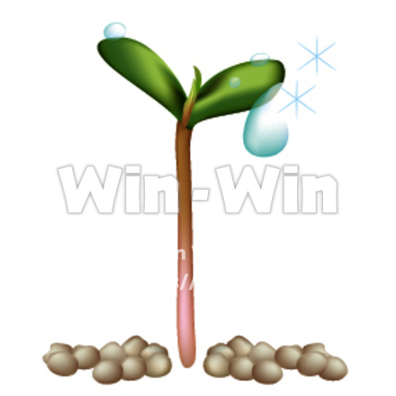 新芽・双葉としずくのCG・イラスト素材 W-014281