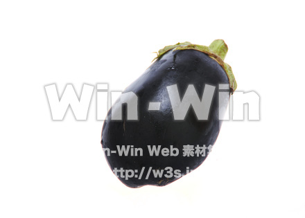 米なすの写真素材 W-015266