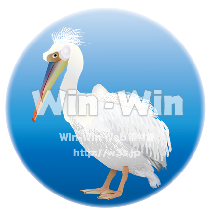 ペリカンのCG・イラスト素材 W-016328